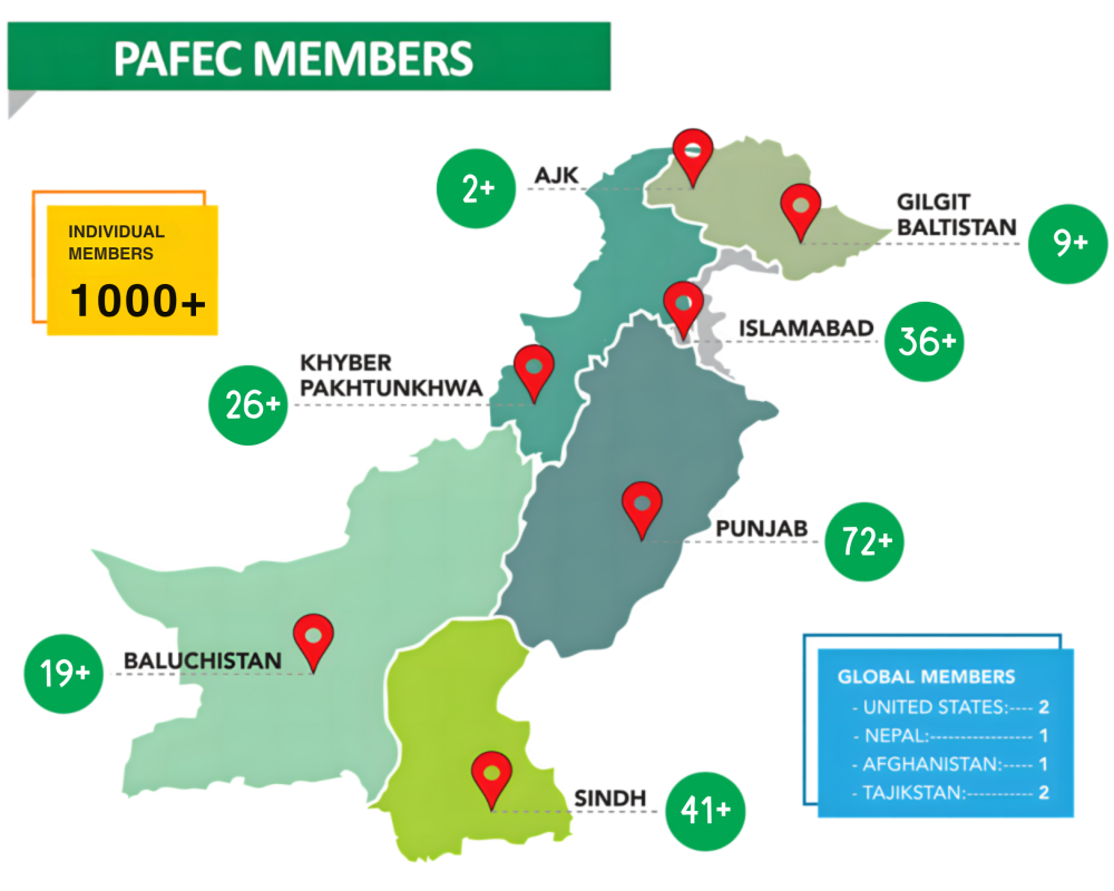 PAFEC WEBSITE GRAPHIC